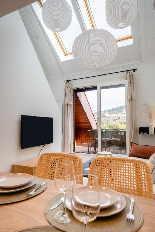 Le Duplex Vaugelas Atypique En Plein Centre Ville Annecy Buitenkant foto