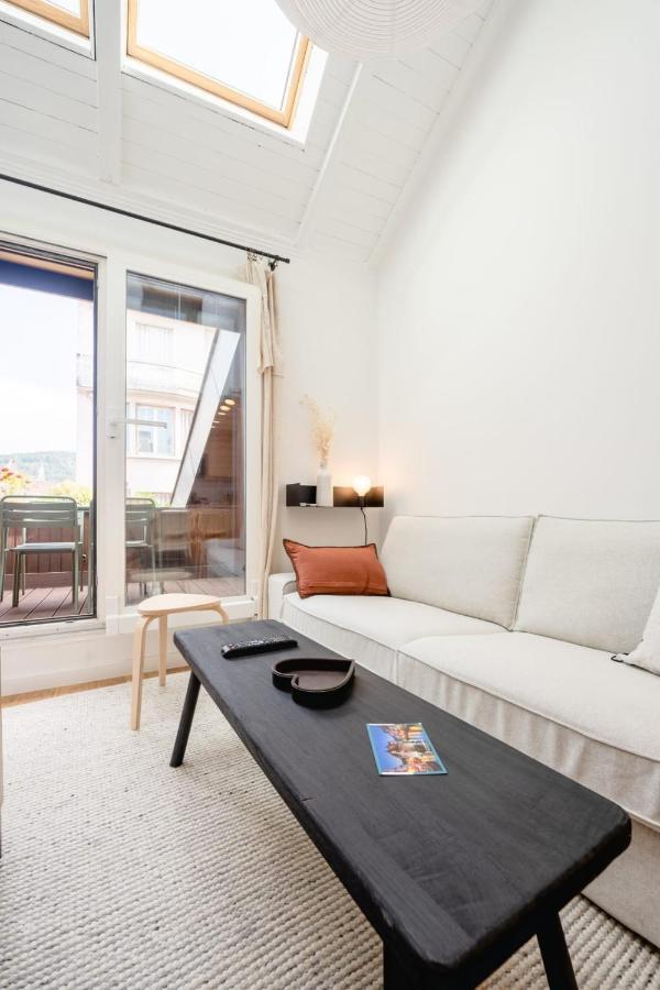 Le Duplex Vaugelas Atypique En Plein Centre Ville Annecy Buitenkant foto